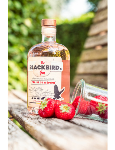 BlackBird's Gin 50cl