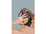 Shampoing solide cheveux normaux