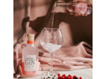 Box cadeau Gin/Tonic Fruited Farmed Bertinchamps