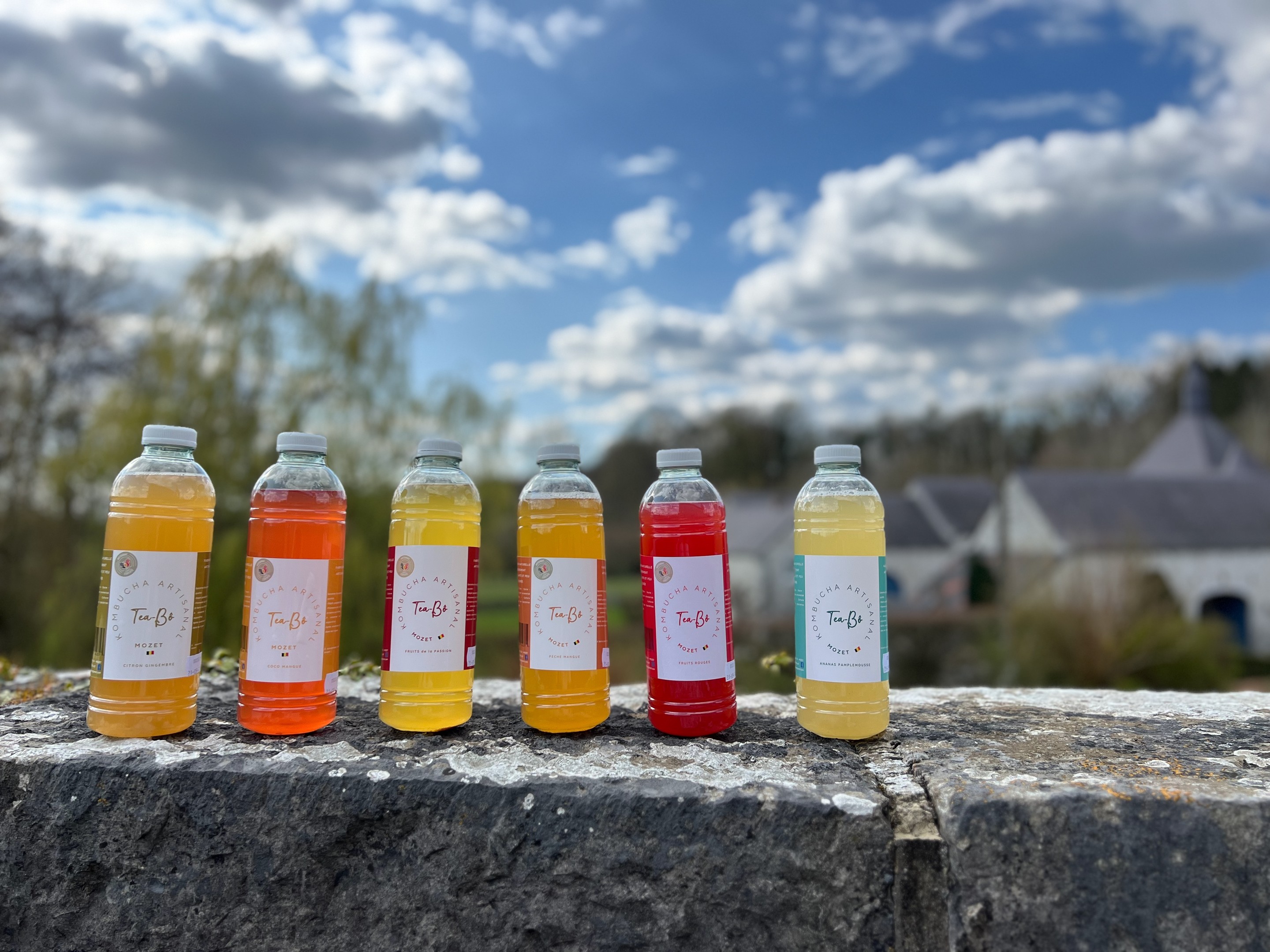 kombucha tea-bô